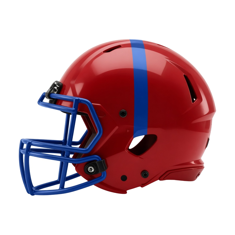 Seals helmet