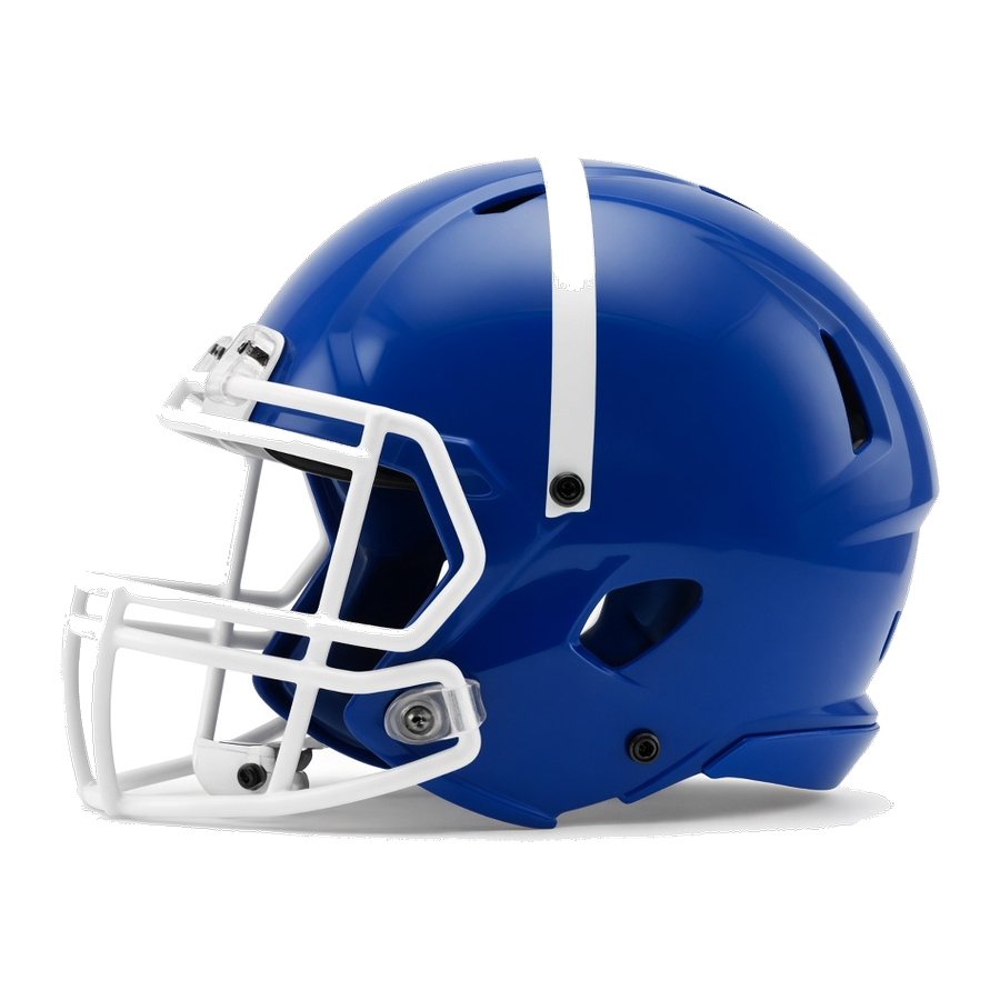 Tamaqua Area helmet